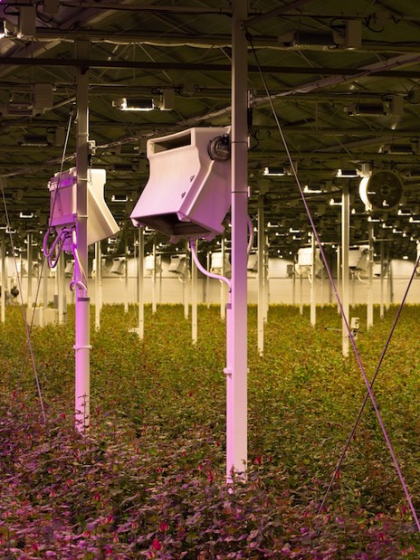 HortiCooler active cooling unit