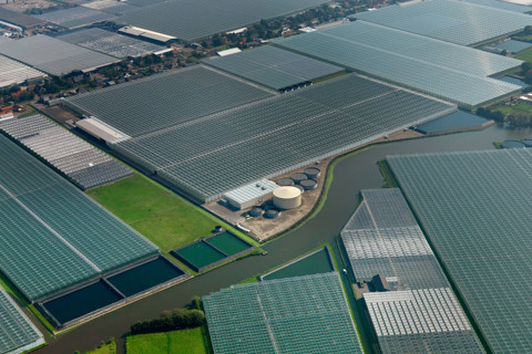 Detail of a Venlo greenhouse roof with energy screens
