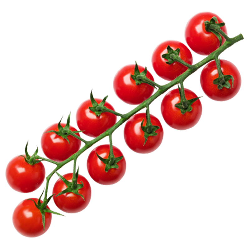 Cherry tomatoes grown in a GrowPro greenhouse