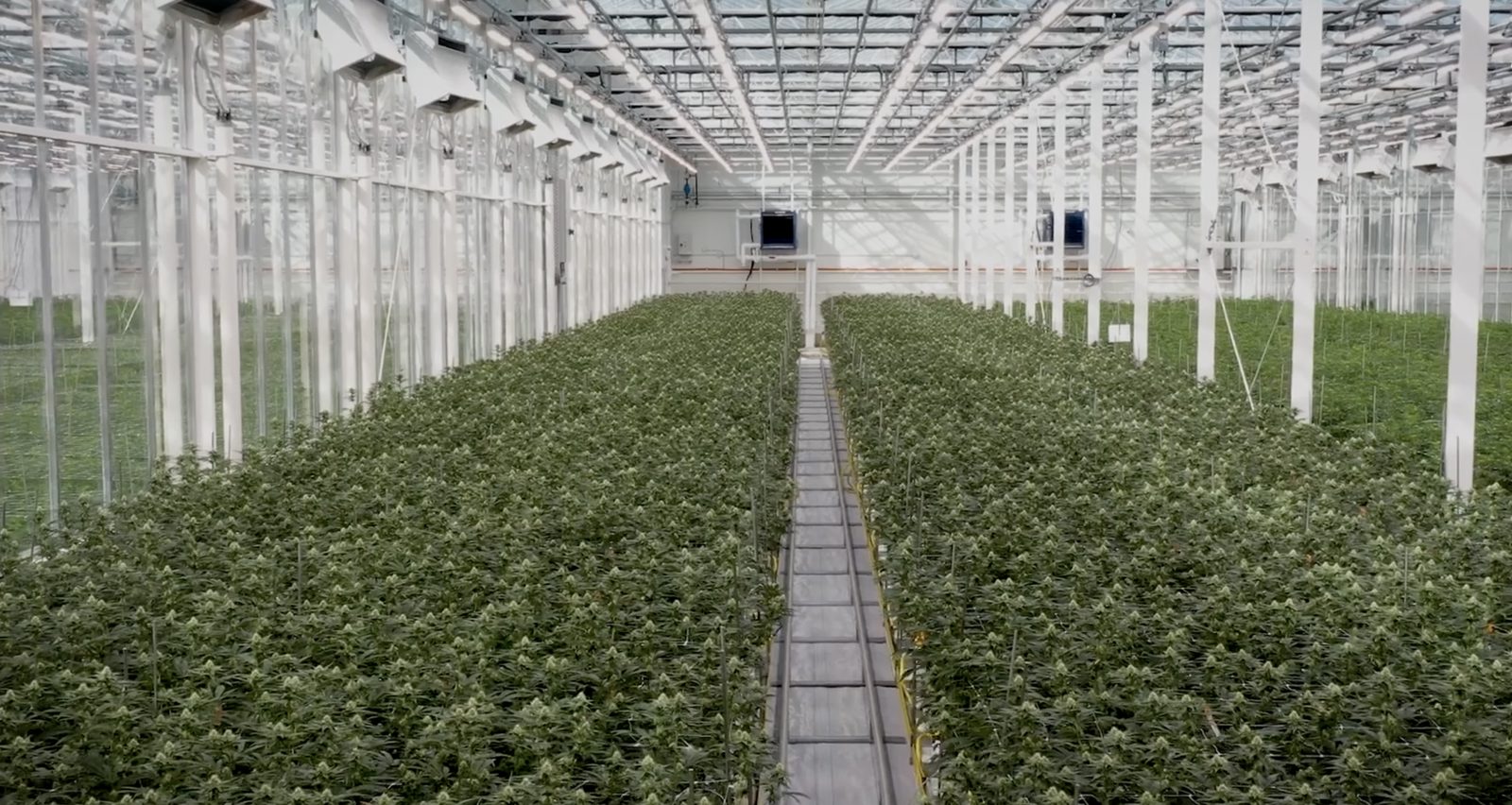Optimizing greenhouse climate for maximum crop growth