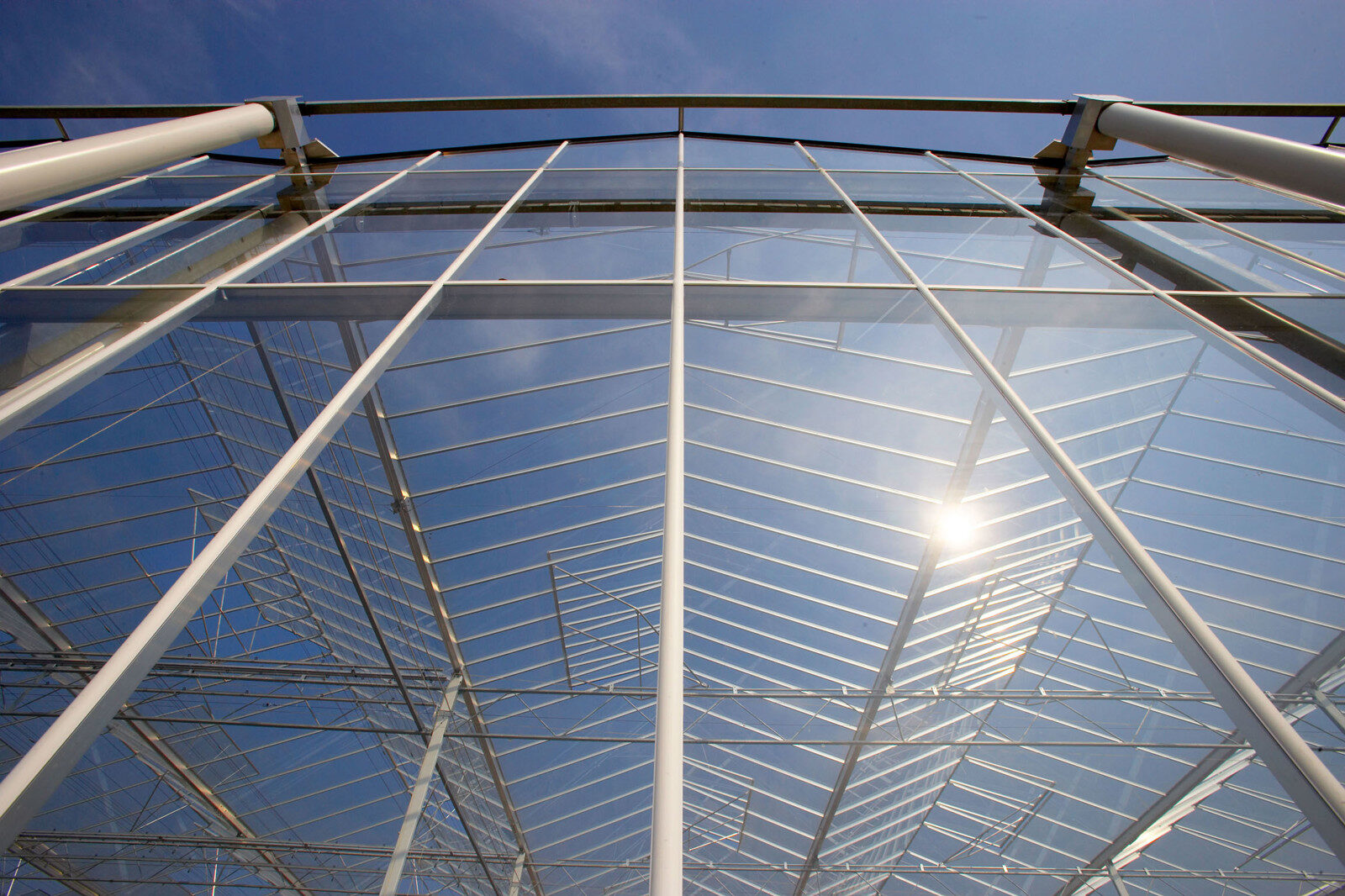 Glass-covered commercial greenhouse roof and walls transmitting daylight
