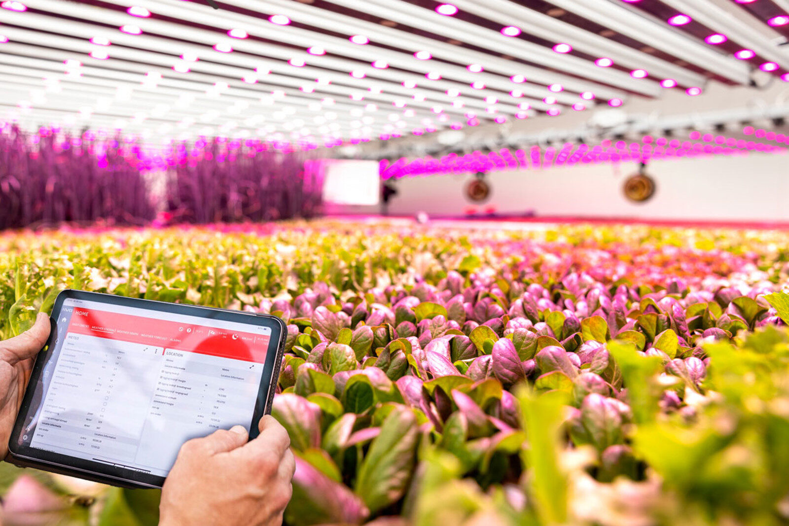 Indoor farm climate control and monitoring equipment