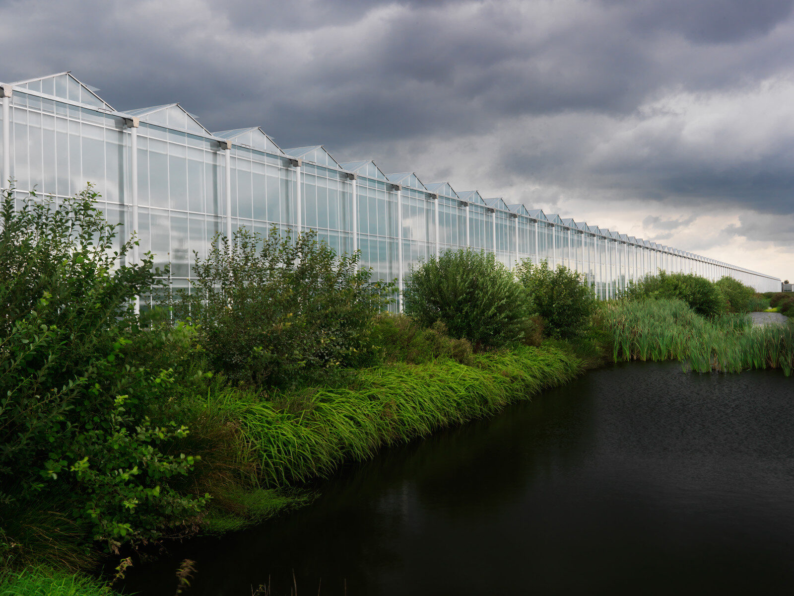 Glass greenhouse exterior with steel framework against the sky