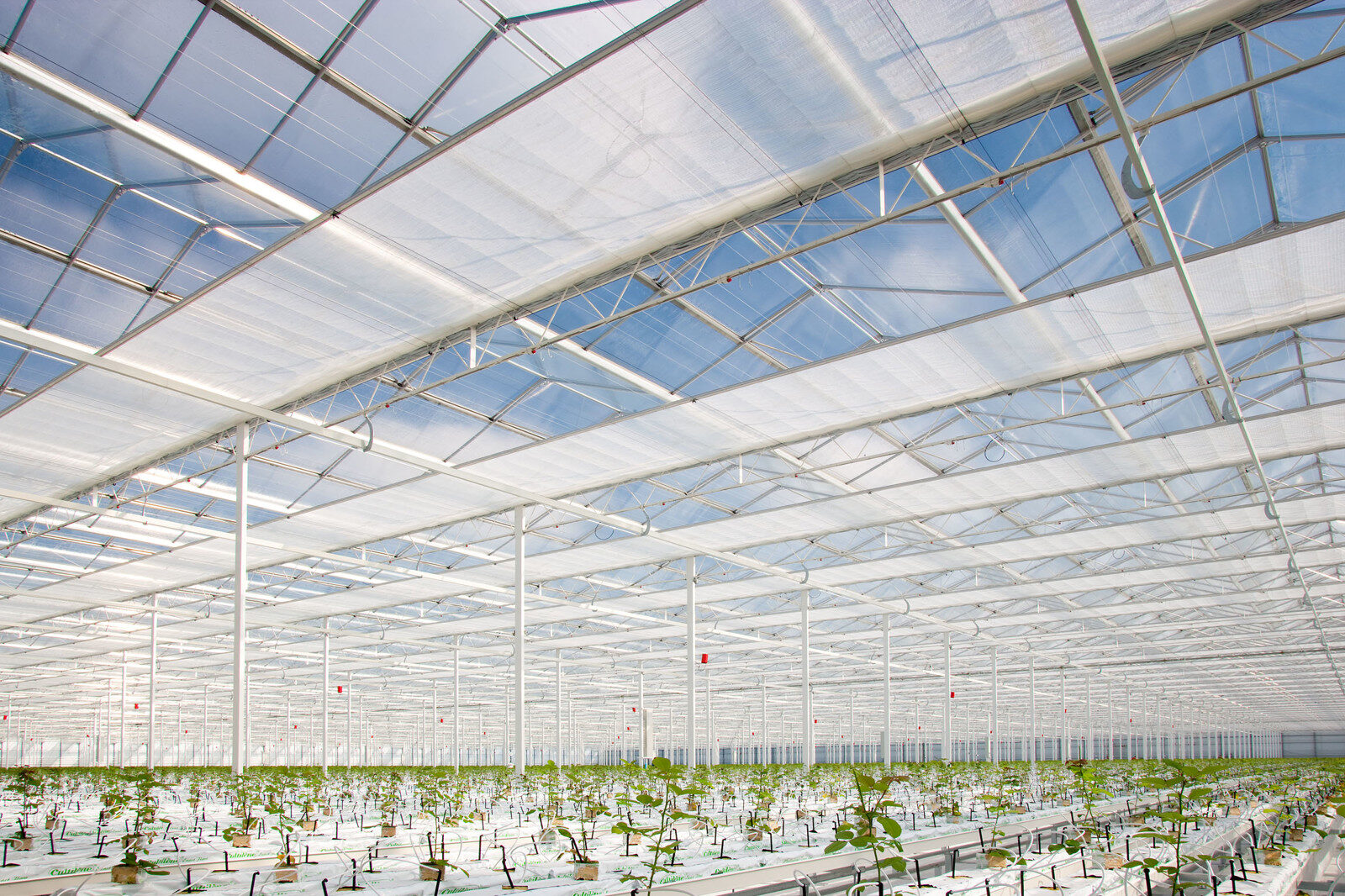 Energy screen fabric drawn beneath a greenhouse roof to retain heat