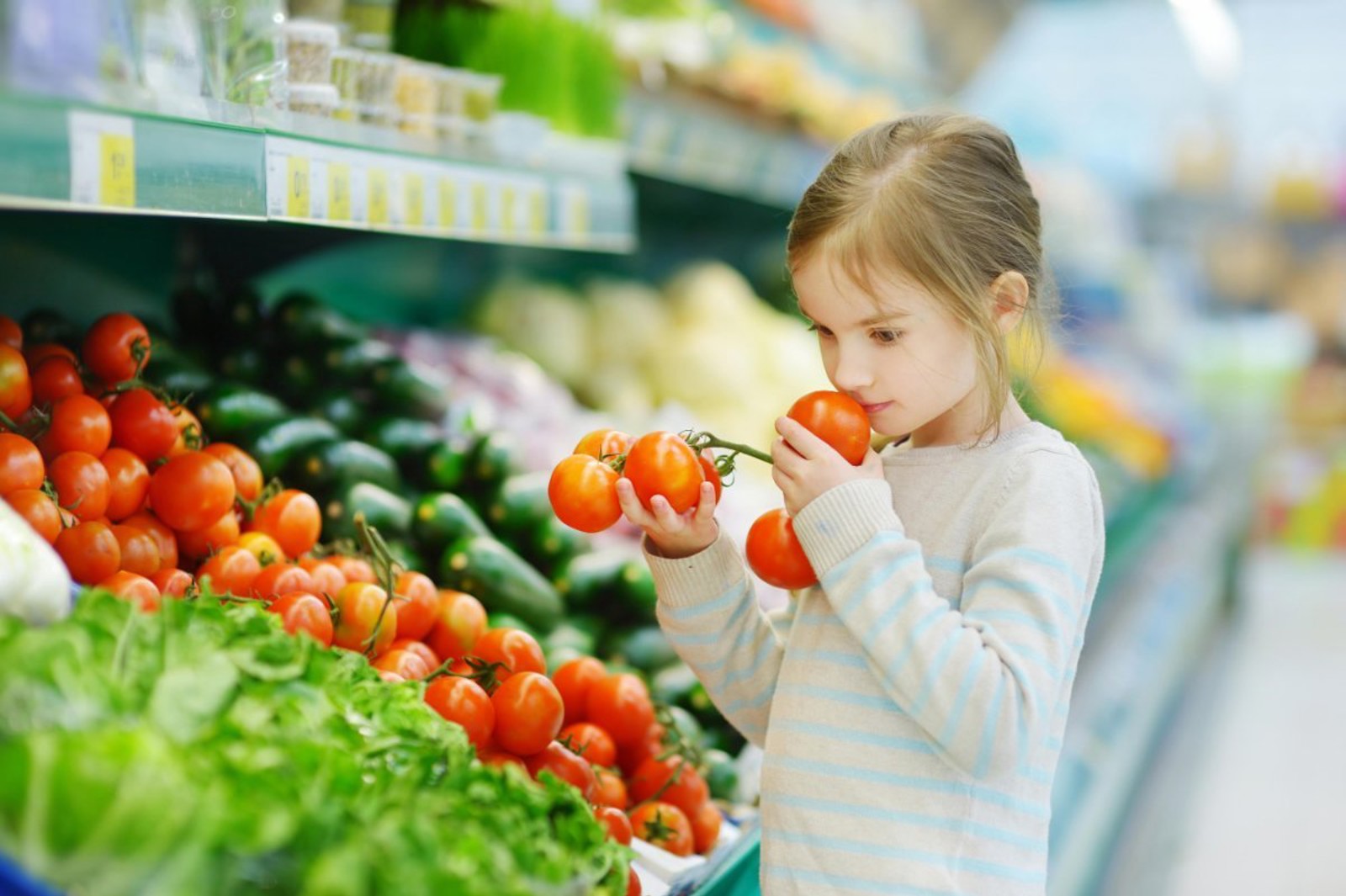 Fresh greenhouse-grown tomatoes displayed in a supermarket produce section
